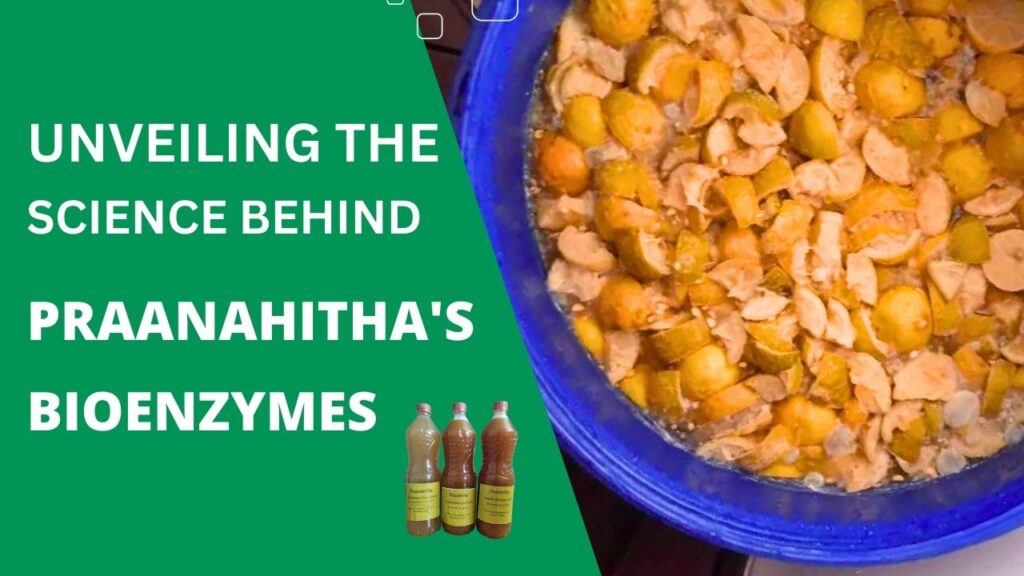 Unveiling the Science Behind Praanahitha’s Bioenzymes